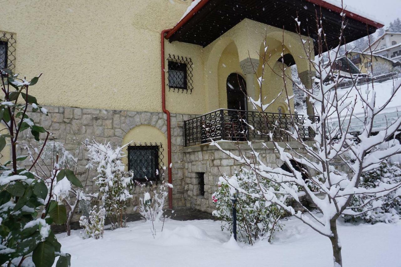 Vila Leonida - Resort Leonida Buşteni エクステリア 写真