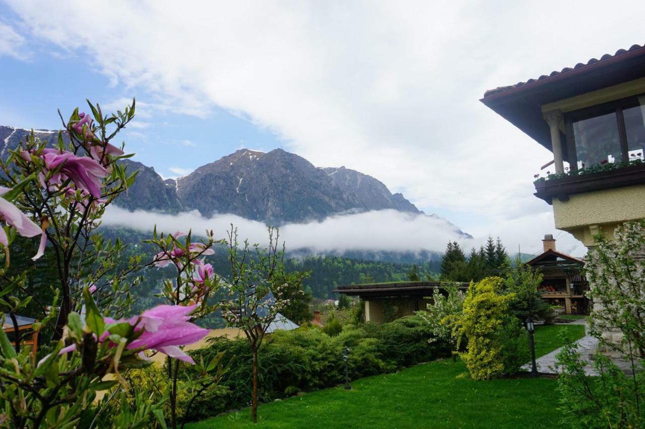Vila Leonida - Resort Leonida Buşteni エクステリア 写真