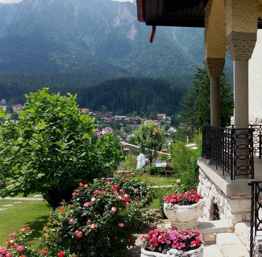 Vila Leonida - Resort Leonida Buşteni エクステリア 写真